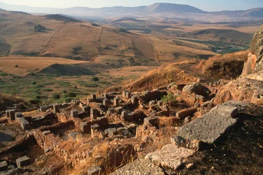 General View of the Site